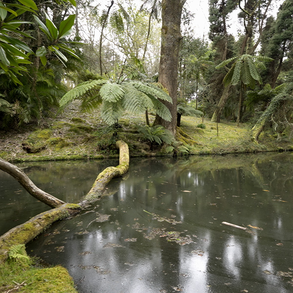 Terra Nostra Park