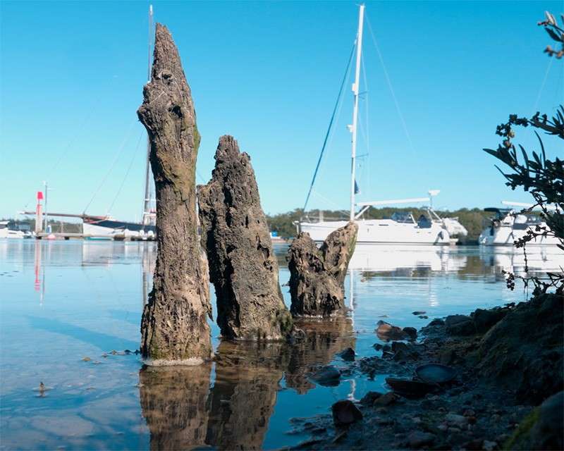 Old slipway timbers in the water of the Beaulieu River at Buckler's Hard