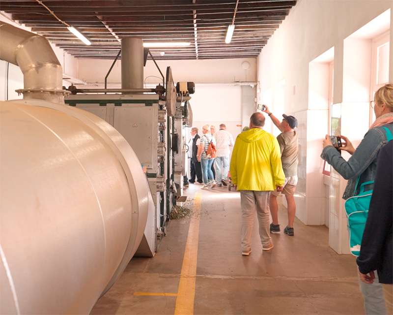 Visitors walking past the long drying machine in the Gorreana tea factory, São Miguel