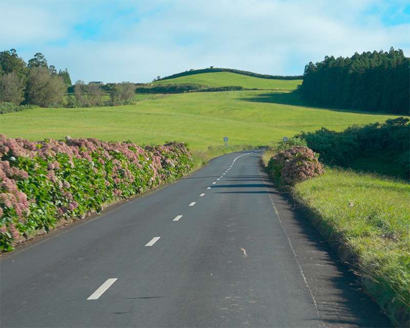 Empty road between stone walls and hydrangea hedges climbing into the green interior of São Miguel