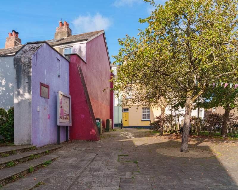 Painted house fronts in purple and yellow on a square in Totnes, a young tree in the middle