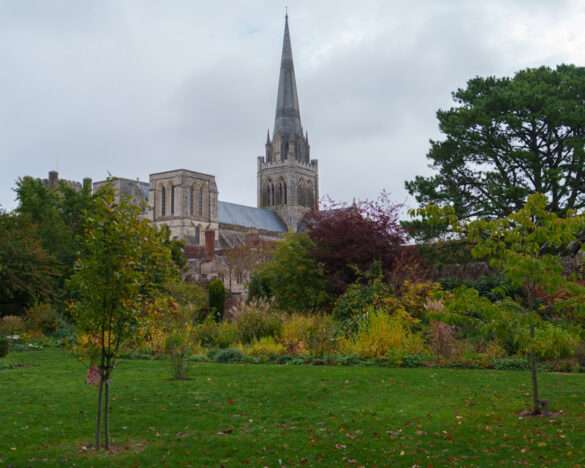Chichester Cathedral seen across the lawn and autumn trees of the Bishop's Palace Garden