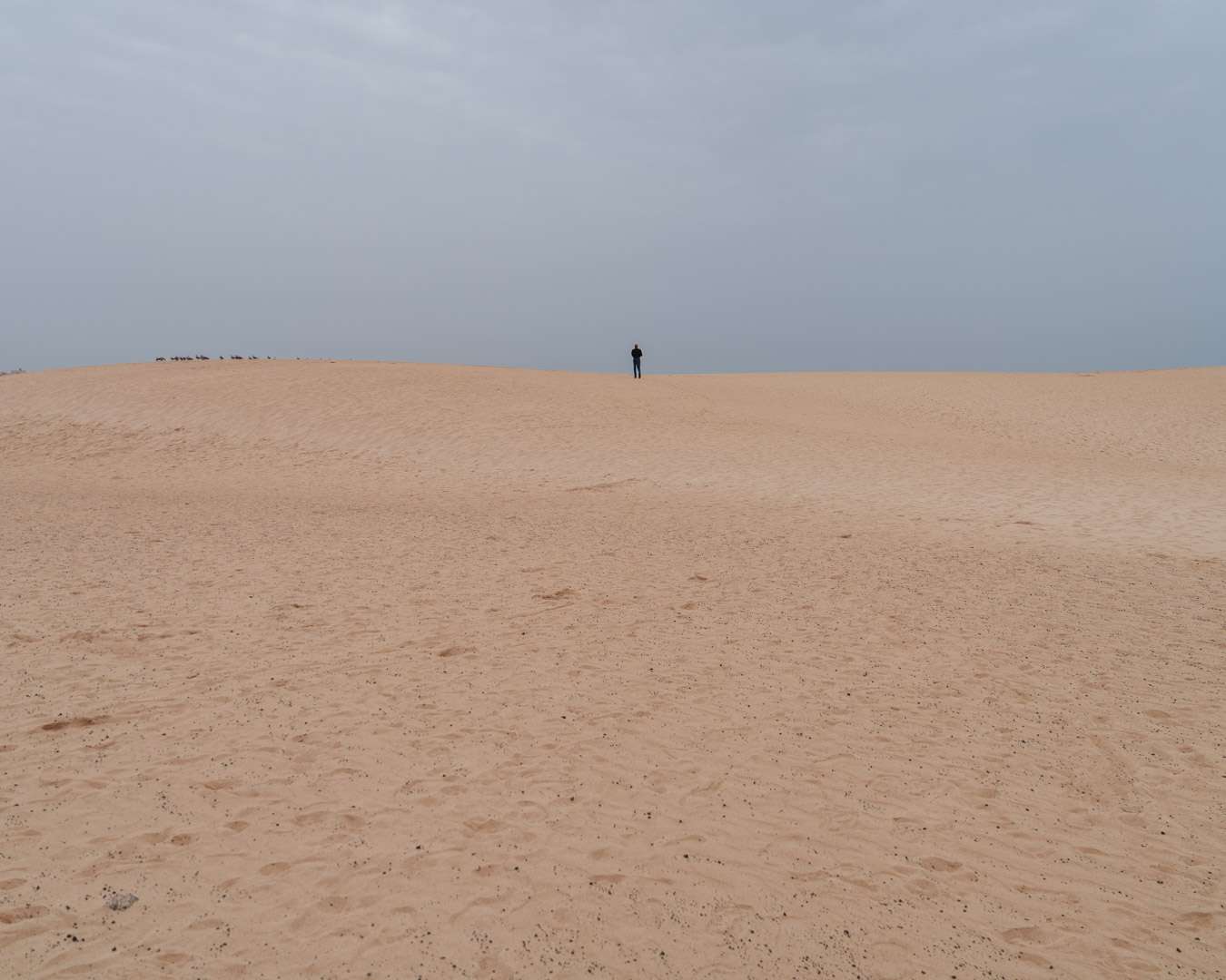 A single walker on the crest of the Corralejo dunes in the north of Fuerteventura