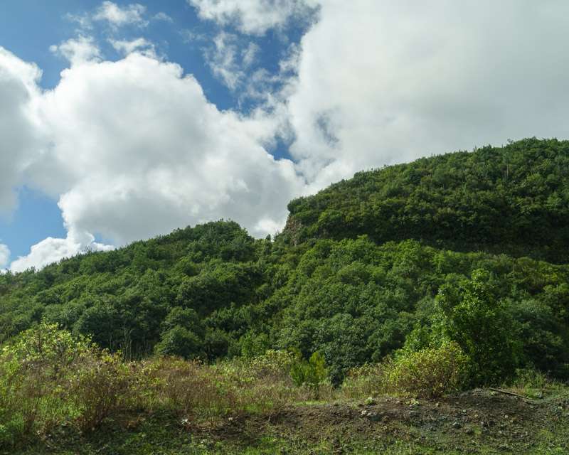 Green hillside under trade-wind cloud on the eastern side of La Palma