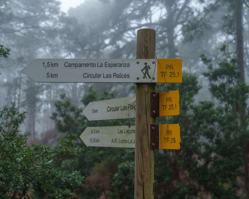 Wooden signpost for Circular Las Raíces and PR-TF 25.1 in mist, El Rosario, Tenerife
