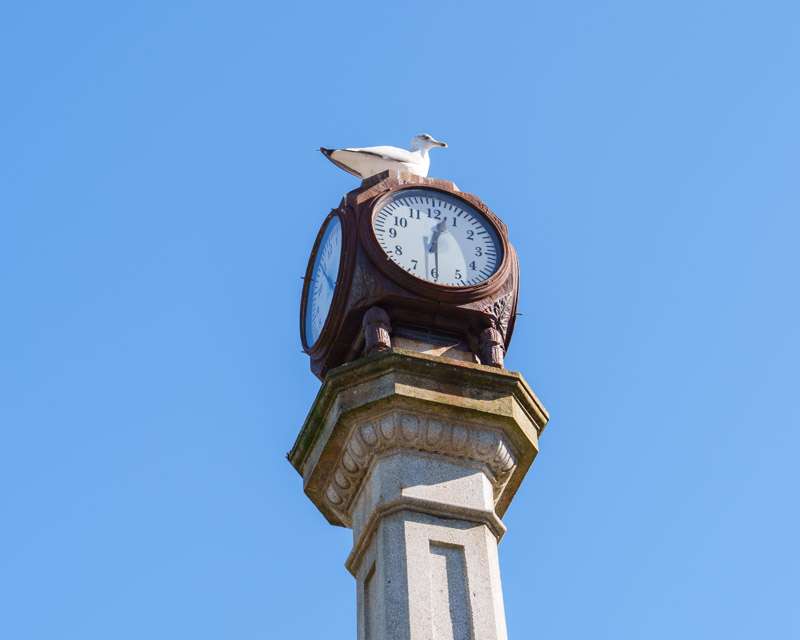 Seagull perched on the clock at the top of the stone column in central Vilagarcía de Arousa