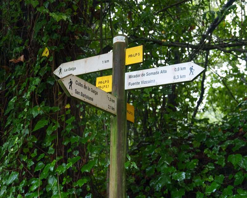 Yellow waymarker post in wet greenery at Cubo de la Galga pointing to the Somada Alta viewpoint and San Bartolomé