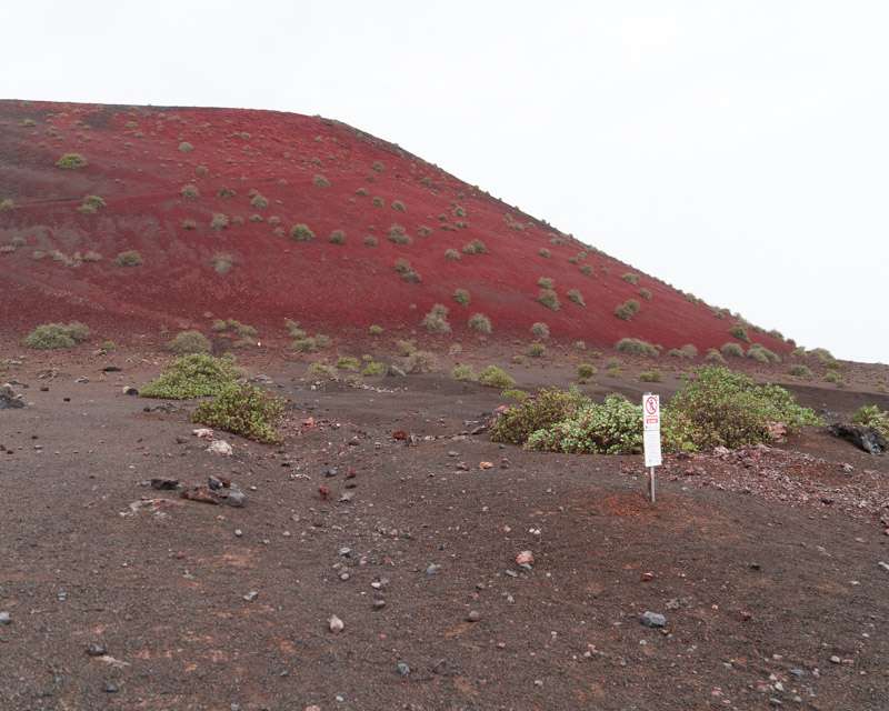 The red flank of Montaña Colorada above black lapilli, Lanzarote