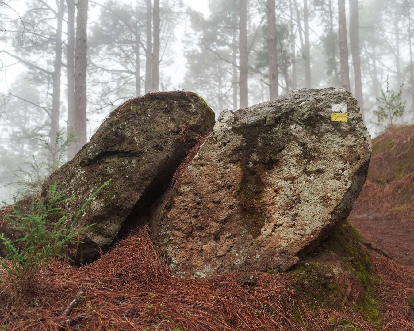 Boulders with a yellow and white trail waymark on the PR-TF 25.1 loop at Las Raíces