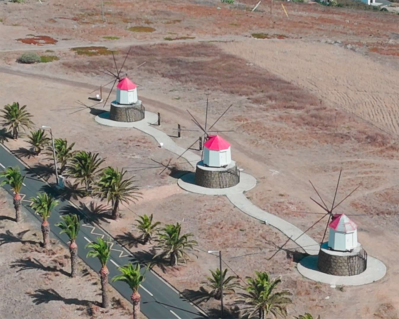 Drei restaurierte Windmühlen mit roten Hauben an der palmengesäumten Küstenstraße von Porto Santo