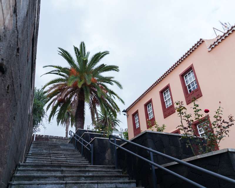 Stepped street in San Andrés climbing between a stone wall and a pink house under tall palms