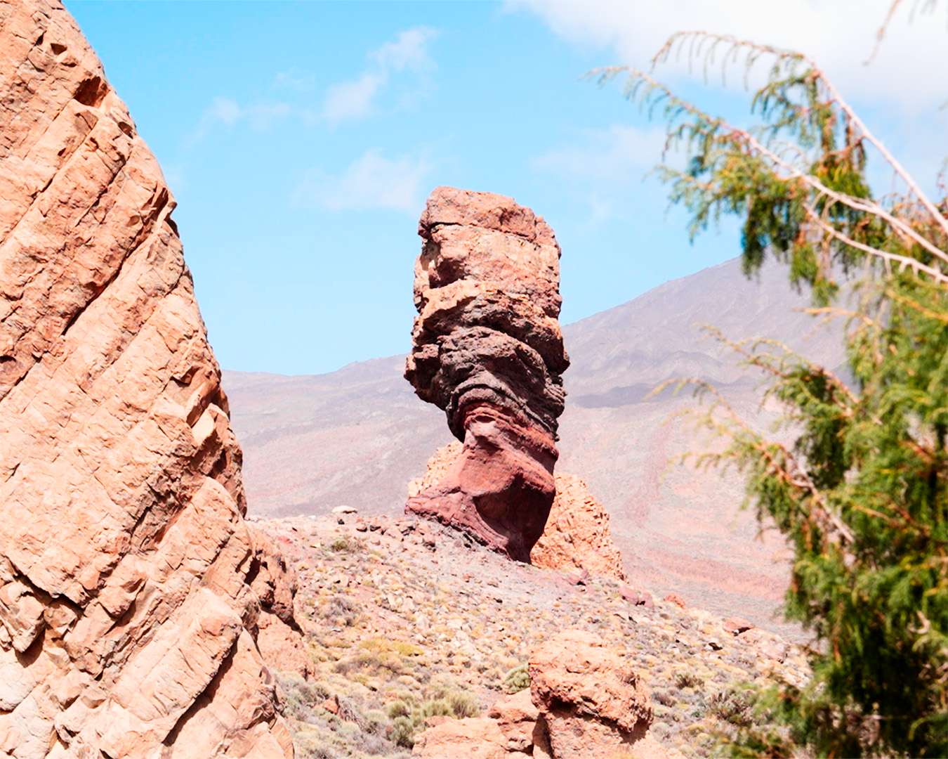 Weathered red rock tower in the Cañadas del Teide with a pine branch in the foreground, Tenerife