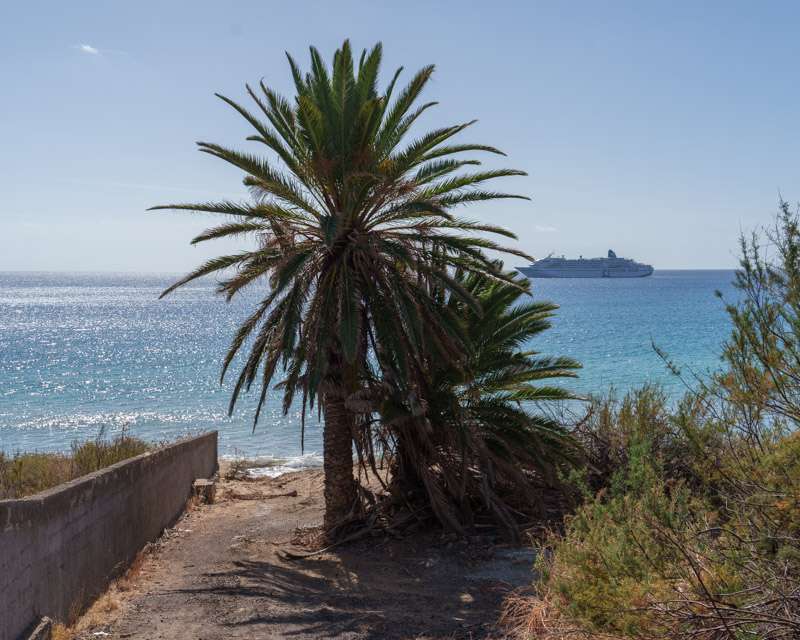 Palme über dem Strandweg auf Porto Santo, am Horizont ein Kreuzfahrtschiff auf Reede